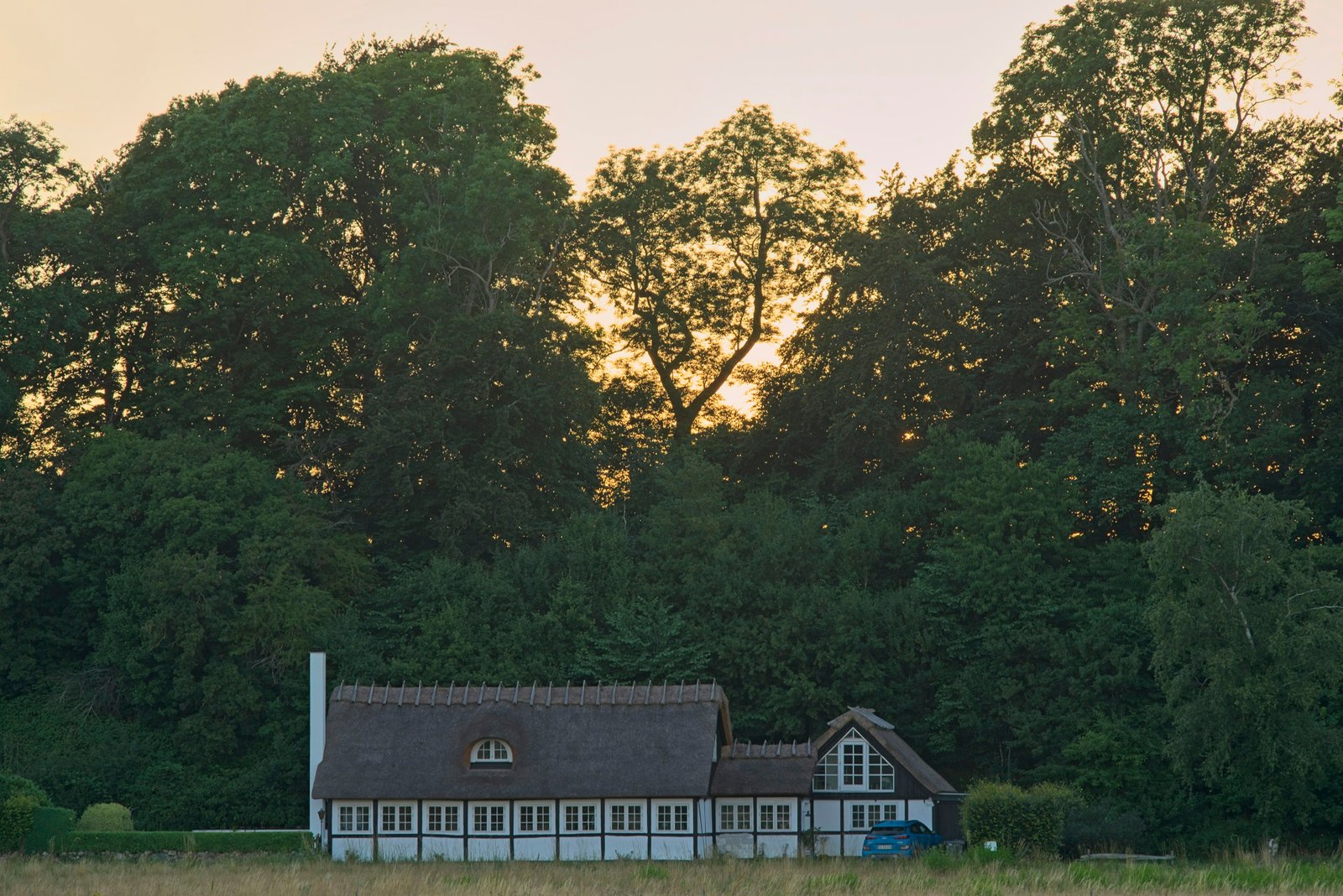Timber-framed thatched farmhouse at the edge of a forest in low evening sun