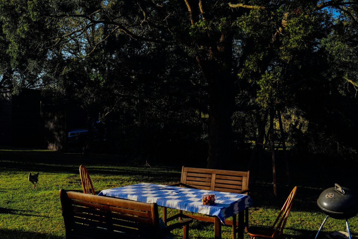 Picnic table laid for lunch under a large tree in the garden
